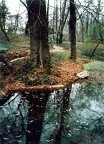 Parcul Carol din Bucuresti - foto Emil Vontea