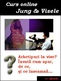 Curs online Jung si visele ad