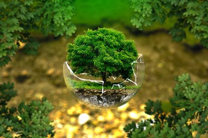 Nature - sursa